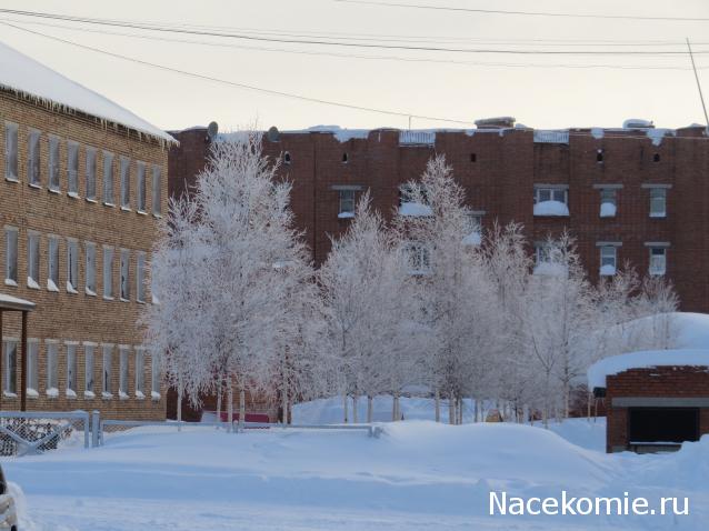 "Живой уголок"