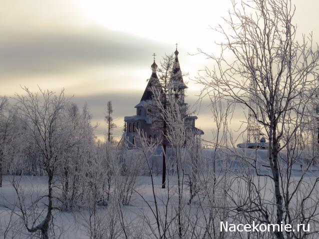 "Живой уголок"