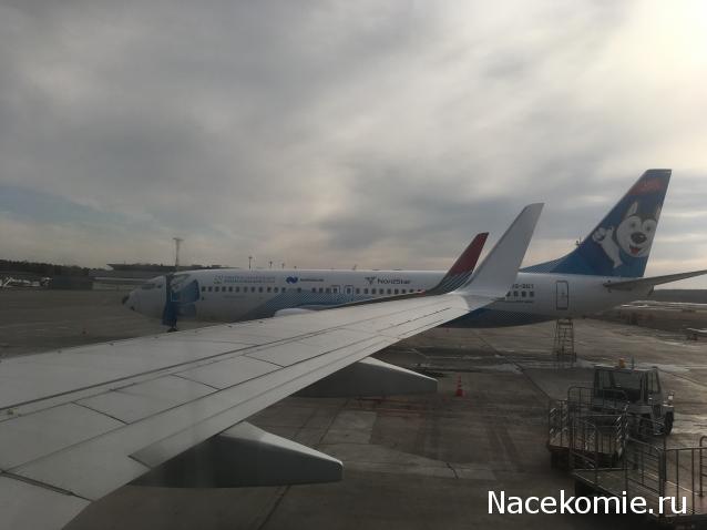 "Живой уголок"