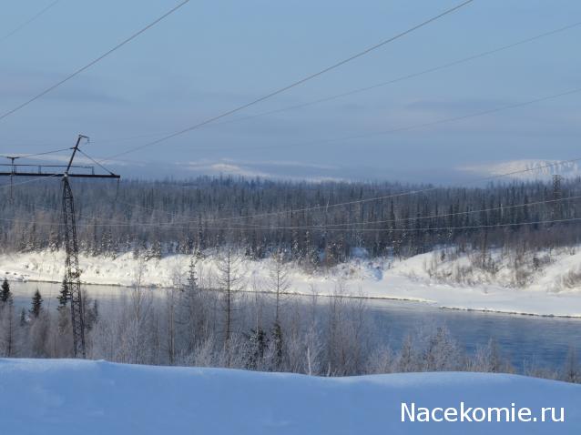 "Живой уголок"