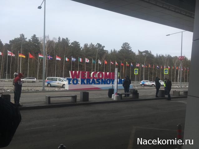 "Живой уголок"