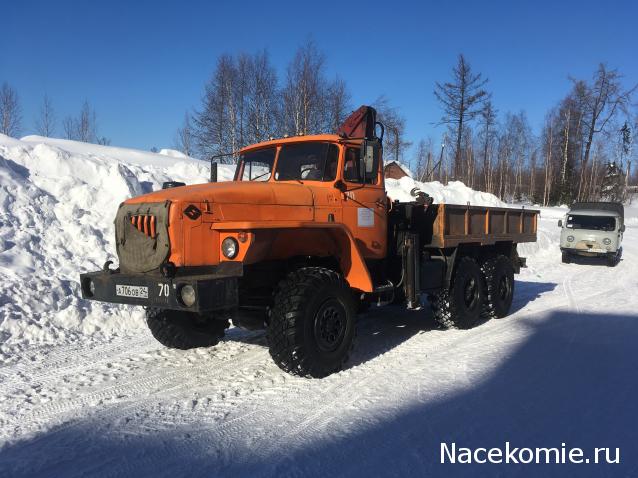 Автолегенды вживую