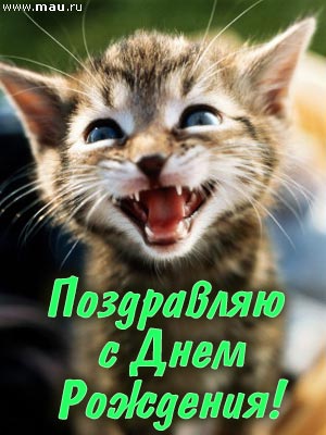 Праздник каждый день - поздравлялка Авторазделов