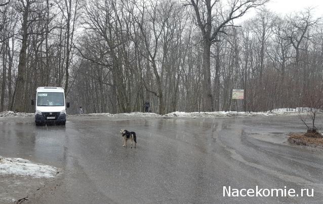 "Живой уголок"