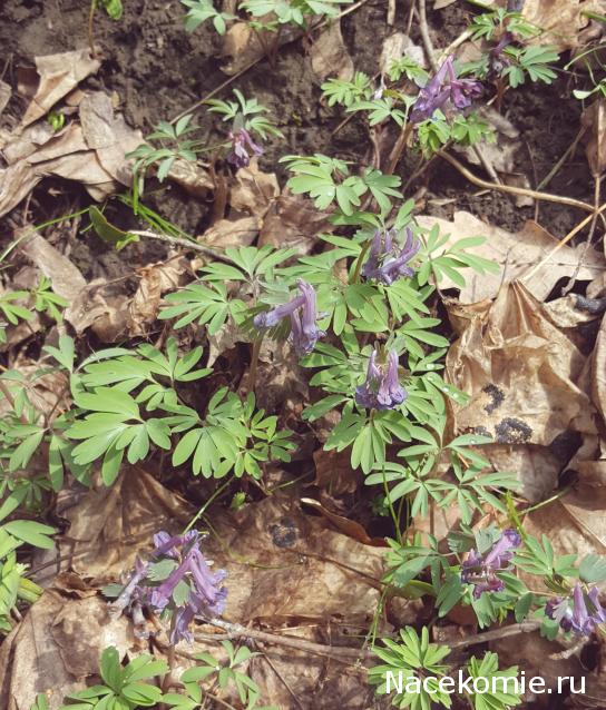 "Живой уголок"