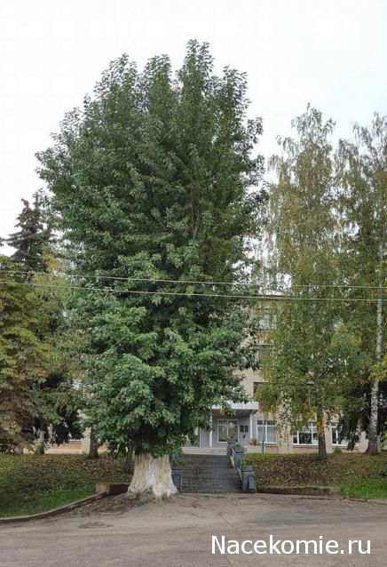 "Живой уголок"