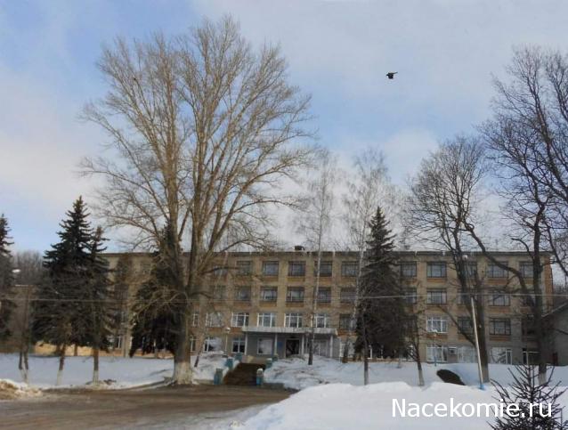 "Живой уголок"