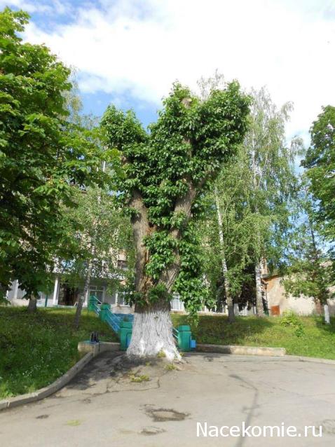 "Живой уголок"