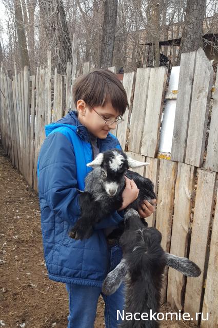 "Живой уголок"