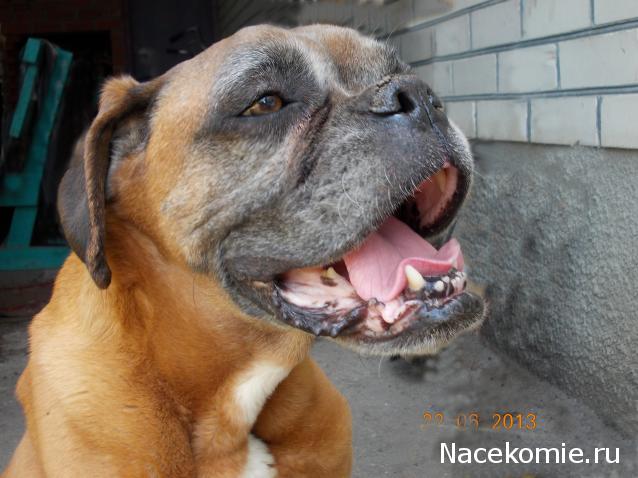 "Живой уголок"