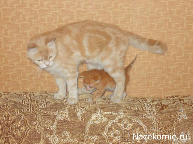 "Живой уголок"