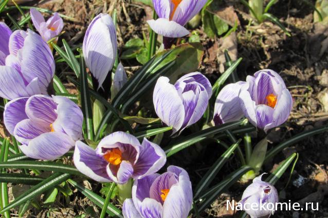 "Живой уголок"