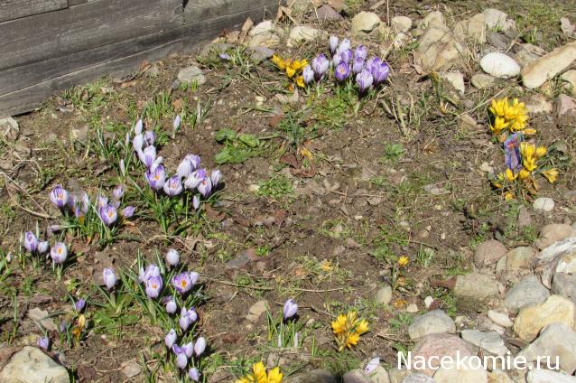 "Живой уголок"