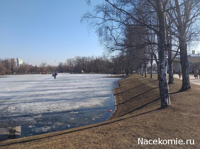 "Живой уголок"