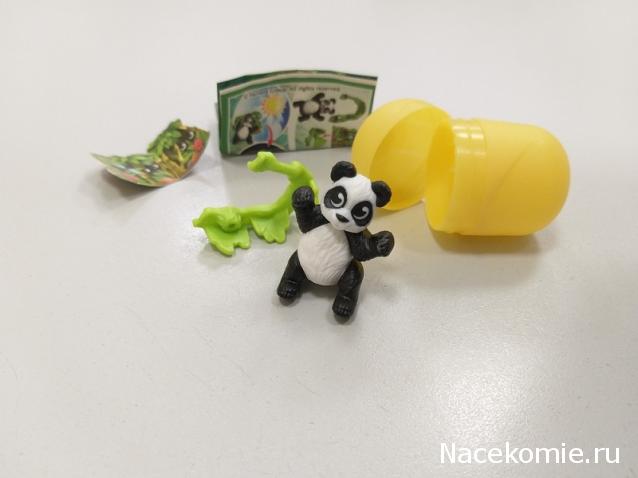 "Живой уголок"