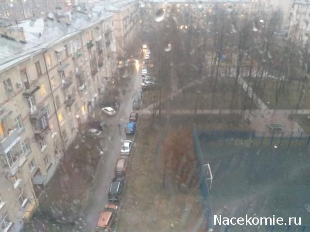 "Живой уголок"