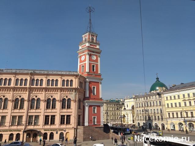 "Живой уголок"