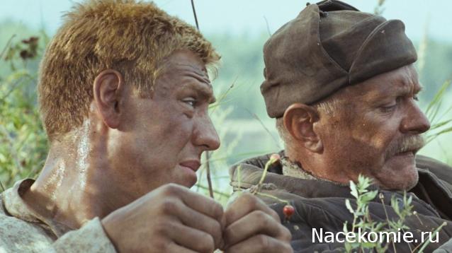 Кинозал автолюбителей