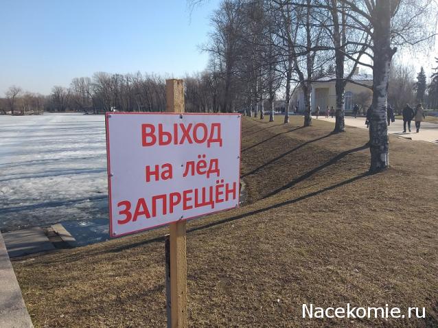 "Живой уголок"