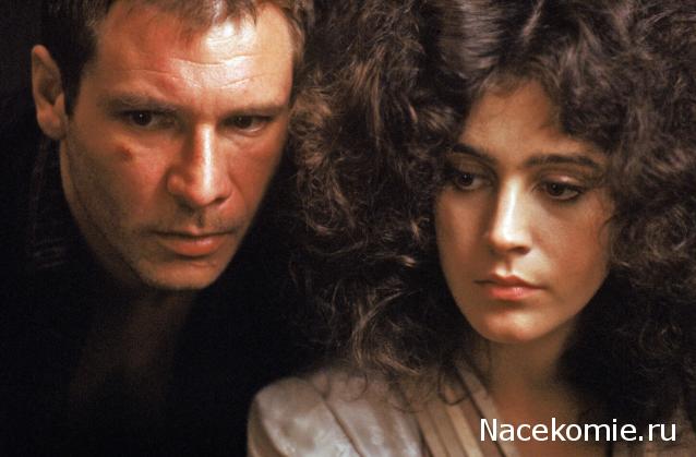 Кинозал автолюбителей