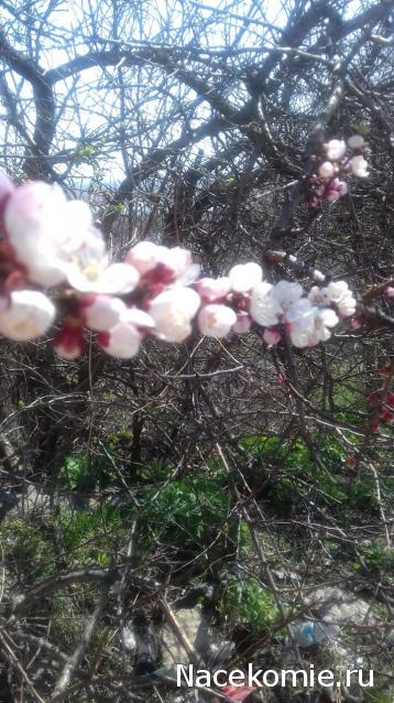 "Живой уголок"