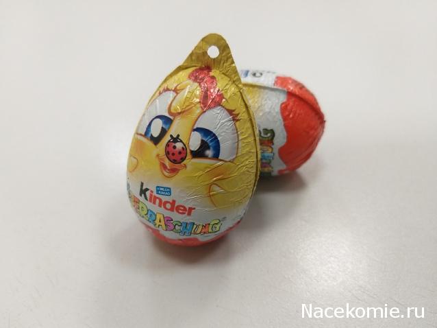 "Живой уголок"