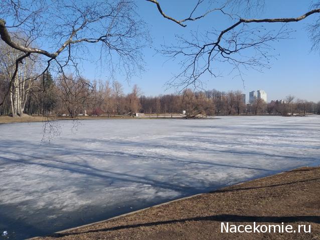 "Живой уголок"