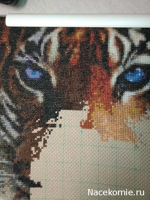 100 крестиков!