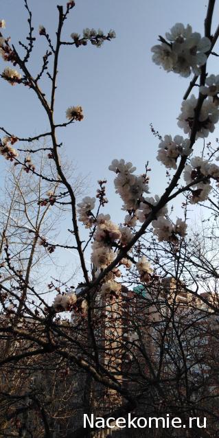 "Живой уголок"