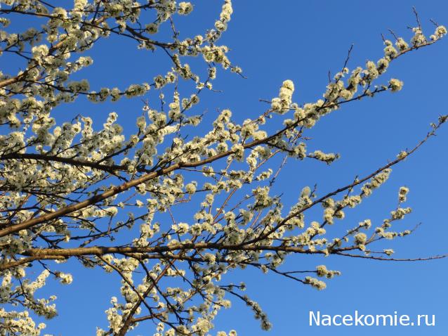 Куклы в народных костюмах – "Девчушки-болтушки"