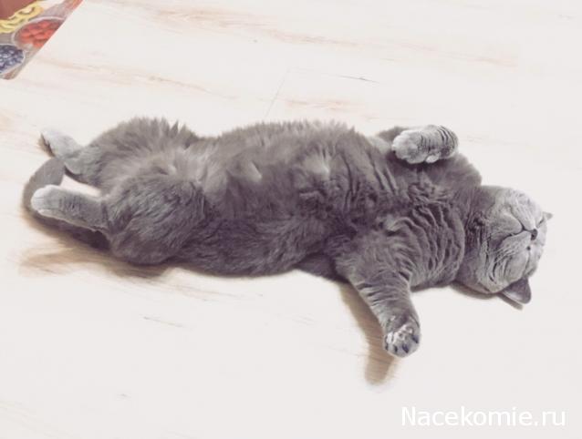 "Живой уголок"