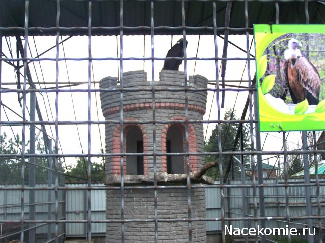 "Живой уголок"