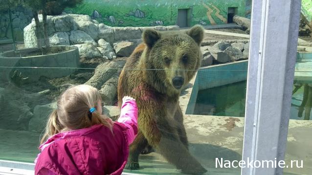 "Живой уголок"