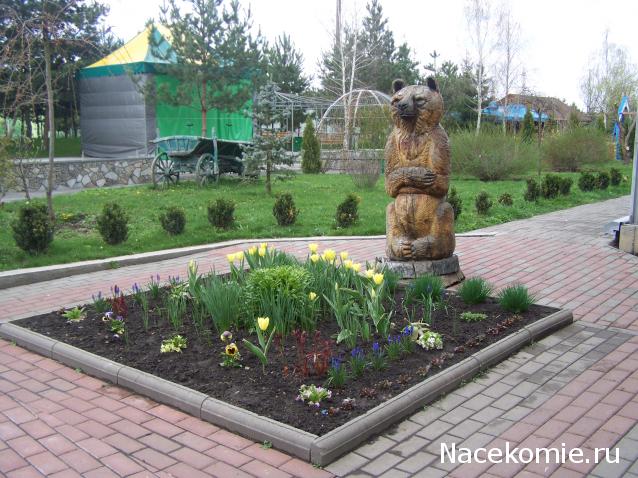 "Живой уголок"