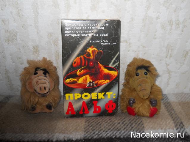 Вперёд в прошлое!