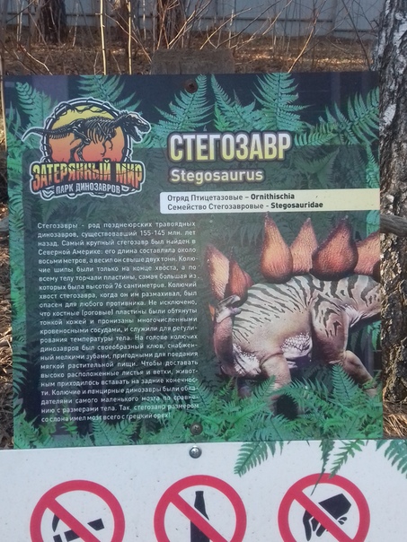 "Живой уголок"