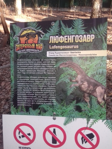 "Живой уголок"