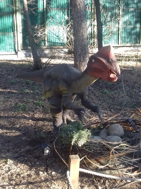 "Живой уголок"