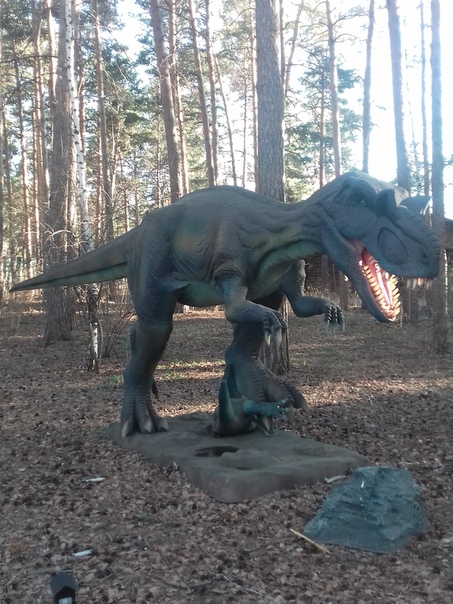 "Живой уголок"