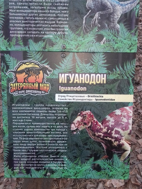 "Живой уголок"