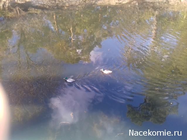 "Живой уголок"