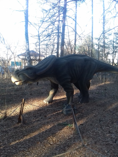 "Живой уголок"