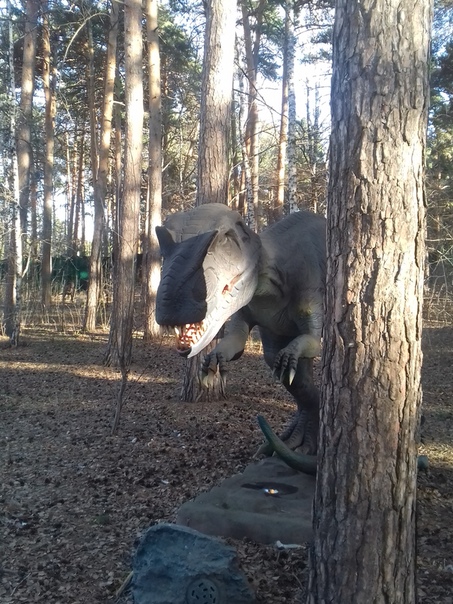 "Живой уголок"