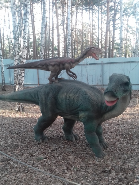 "Живой уголок"