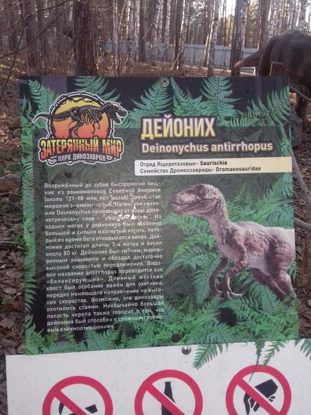 "Живой уголок"