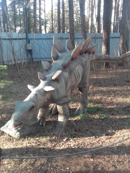 "Живой уголок"