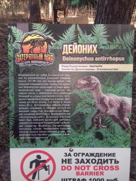 "Живой уголок"