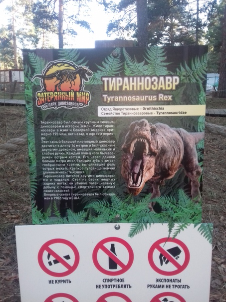 "Живой уголок"