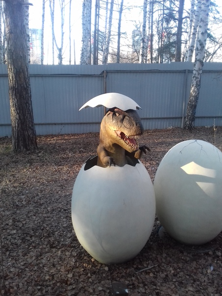 "Живой уголок"