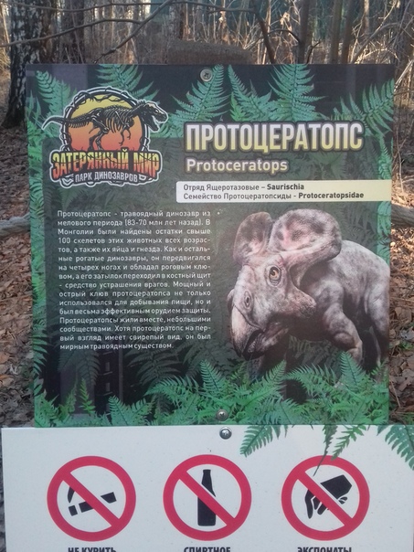 "Живой уголок"